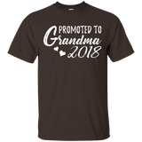 Womens Promoted to Grandma 2018 T-Shirt - New Grandma Gift_Black