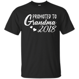 Womens Promoted to Grandma 2018 T-Shirt - New Grandma Gift_Black