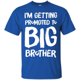 I'm Getting Promoted To Big Brother