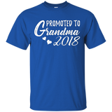 Womens Promoted to Grandma 2018 T-Shirt - New Grandma Gift_Black