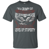 I'm A Grumpy Old Army Veteran Funny Us Army Veteran T-shirt