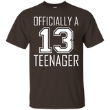 Official Teenager Tshirt Funny 13th Birthday Thirteen_Black