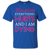 Womens 3rd Trimester Everything Hurts And I Am Dying T-shirt_black=