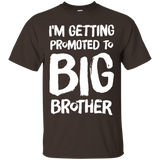 I'm Getting Promoted To Big Brother