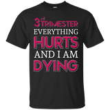 Womens 3rd Trimester Everything Hurts And I Am Dying T-shirt_black=