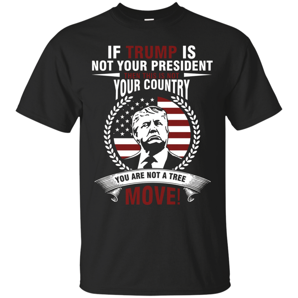 If Trump Is Not Your President