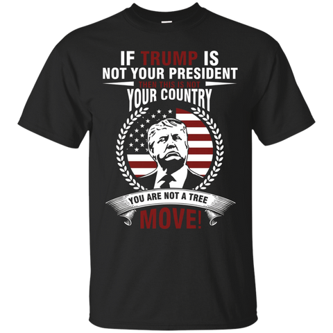 If Trump Is Not Your President