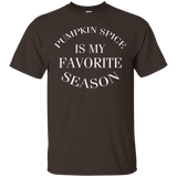pumpkin spice is my favorite season shirt_Black