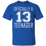 Official Teenager Tshirt Funny 13th Birthday Thirteen_Black