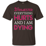 Womens 3rd Trimester Everything Hurts And I Am Dying T-shirt_black=