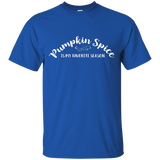 Pumpkin Spice Is My Favorite Season T-Shirt - Dark Tees_Black