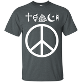 Teach Peace Funny Human Interfaith Human Tolerance T-Shirt_Black