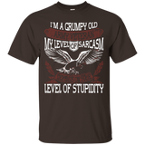 I'm A Grumpy Old Army Veteran Funny Us Army Veteran T-shirt